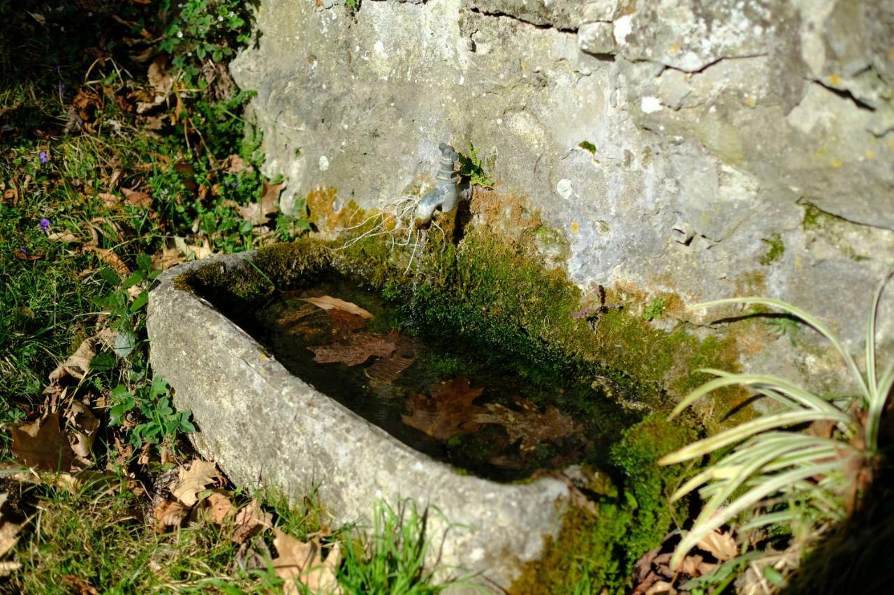 Villa Il Sorriso Bivigliano Exterior foto
